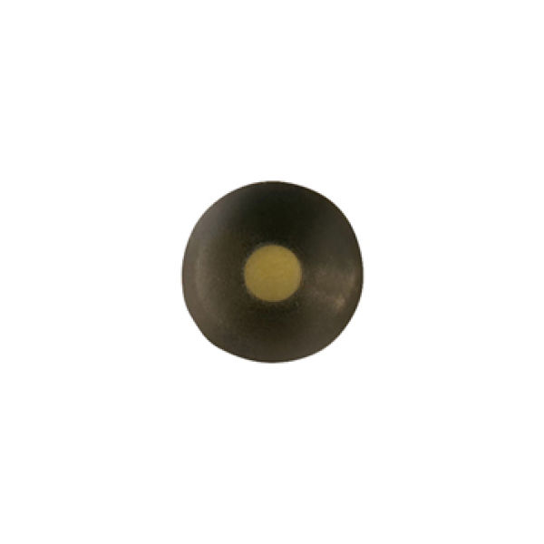Small Bronze Nail